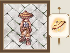 hat1b